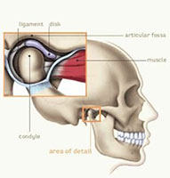 tmj diagram